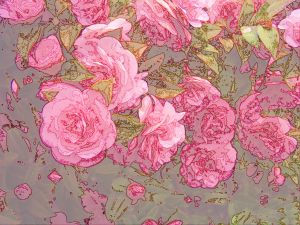 Camelia Conjecture