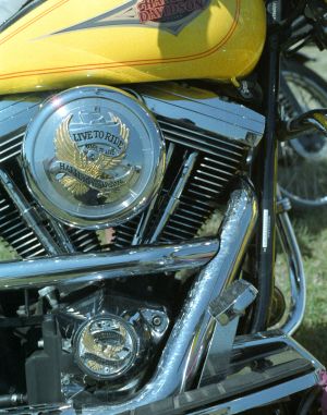 Live to Ride