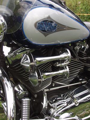 Twin Horns